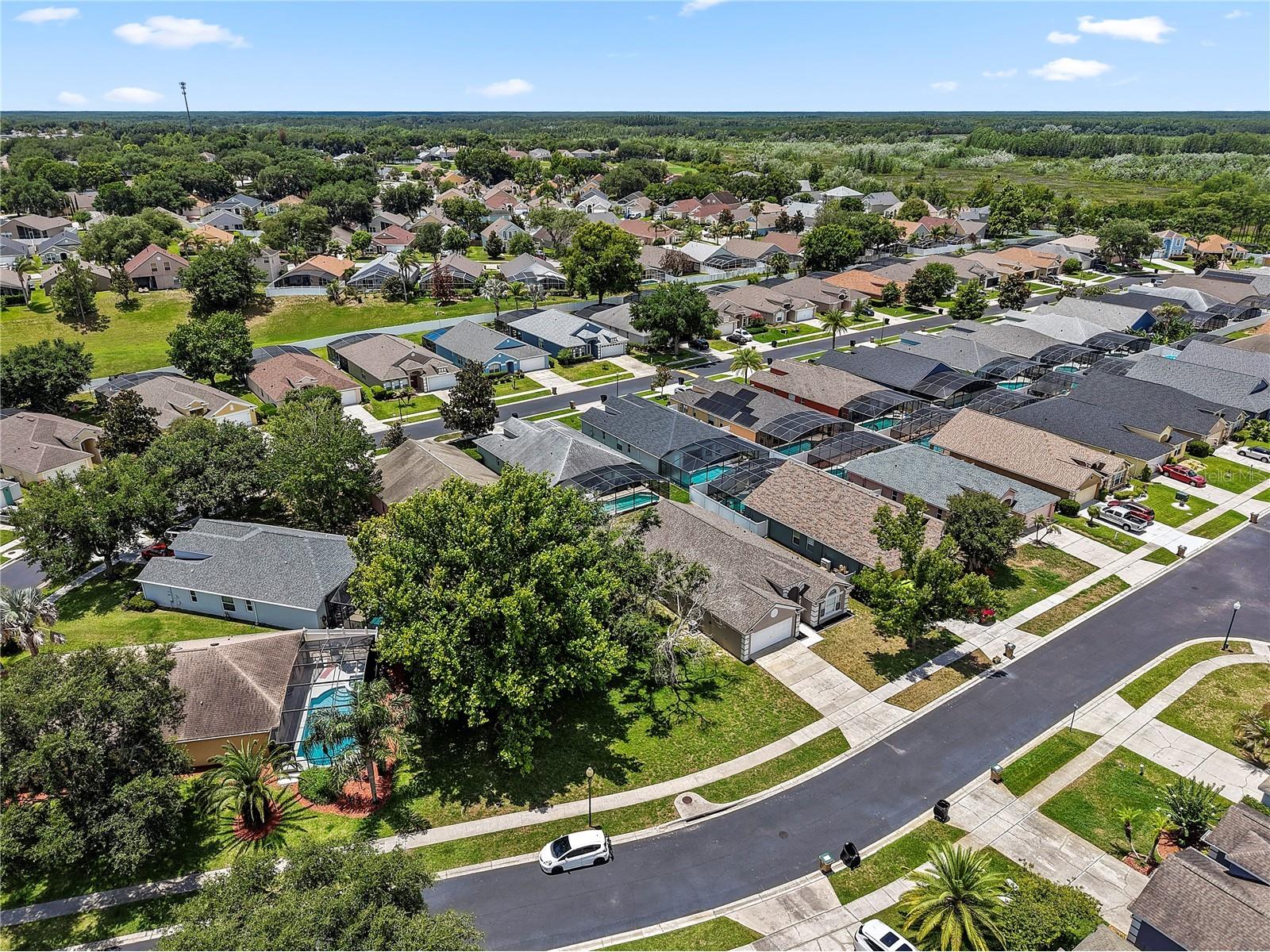 3103 Merlot Way Clermont FL 34714 O6413481 image30
