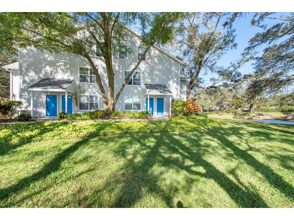 3103 Valley Oaks Drive Tampa FL 33618 T3482295 image1