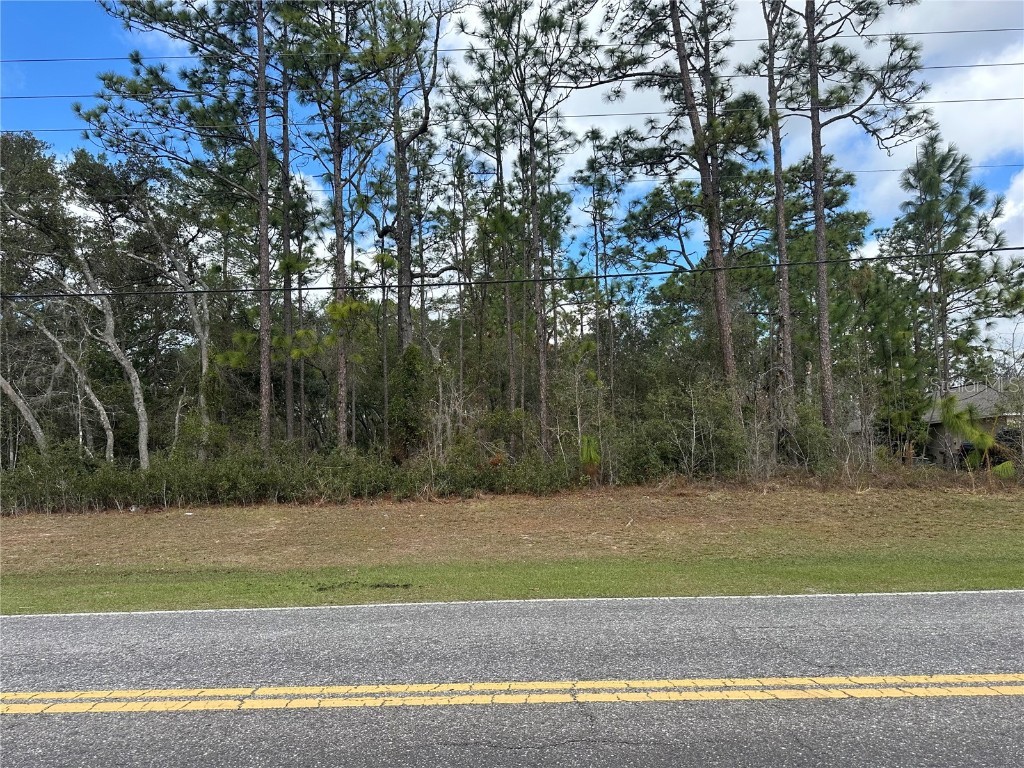 3103 W Citrus Springs Boulevard #9 Citrus Springs FL 34433 OM695643 image1