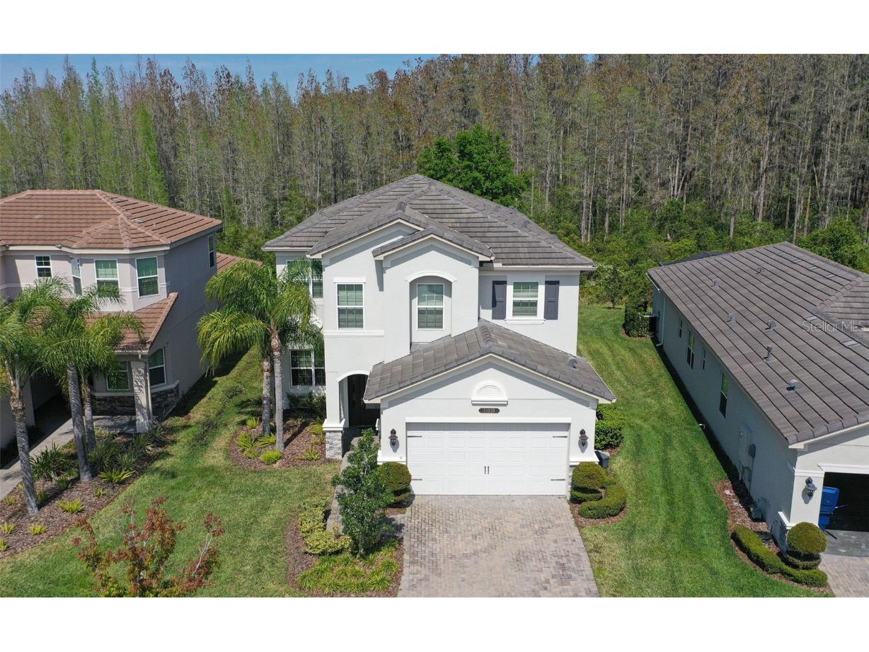 31030 Lindentree Drive Wesley Chapel FL 33543 T3511689 image1