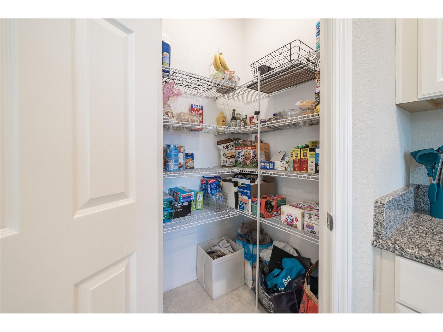 31030 Parrot Reef Court Wesley Chapel FL 33545 TB8482510 image16