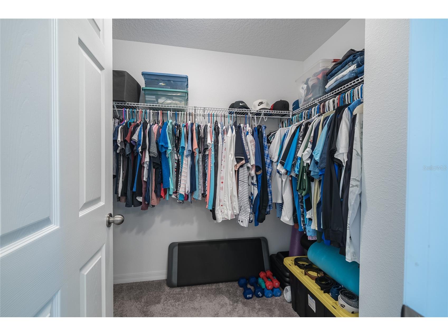 31030 Parrot Reef Court Wesley Chapel FL 33545 TB8482510 image30