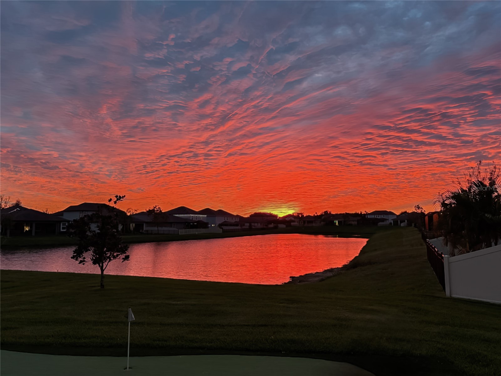 31030 Parrot Reef Court Wesley Chapel FL 33545 TB8482510 image55