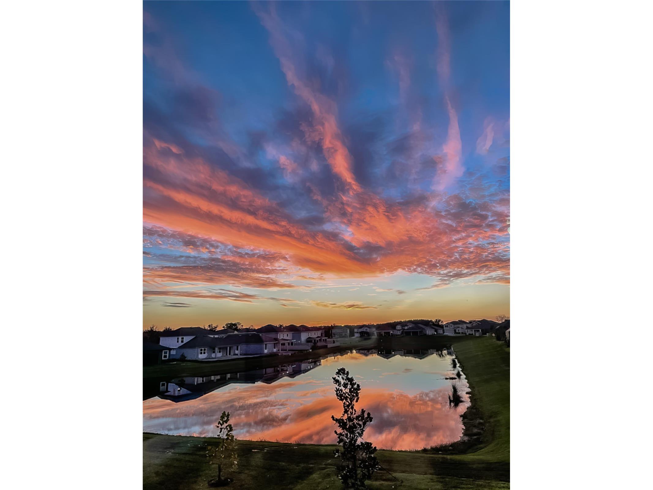 31030 Parrot Reef Court Wesley Chapel FL 33545 TB8482510 image57