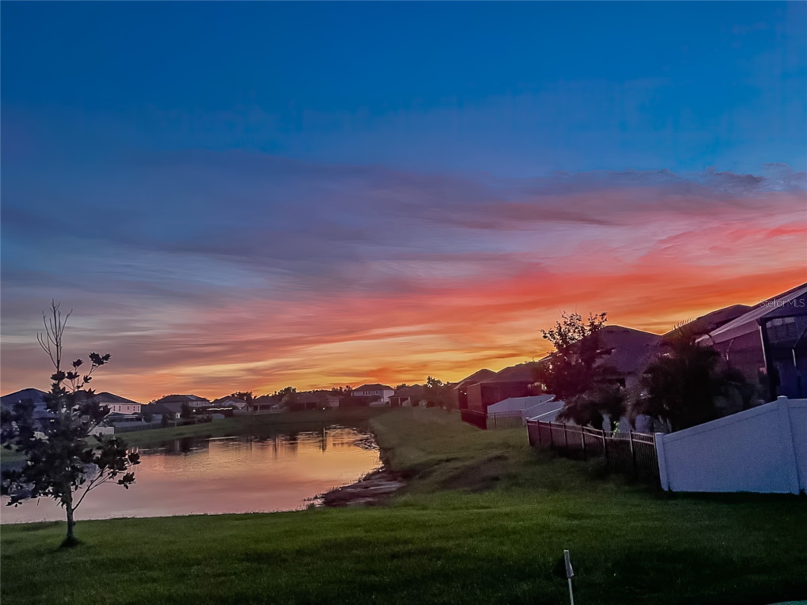 31030 Parrot Reef Court Wesley Chapel FL 33545 TB8482510 image58