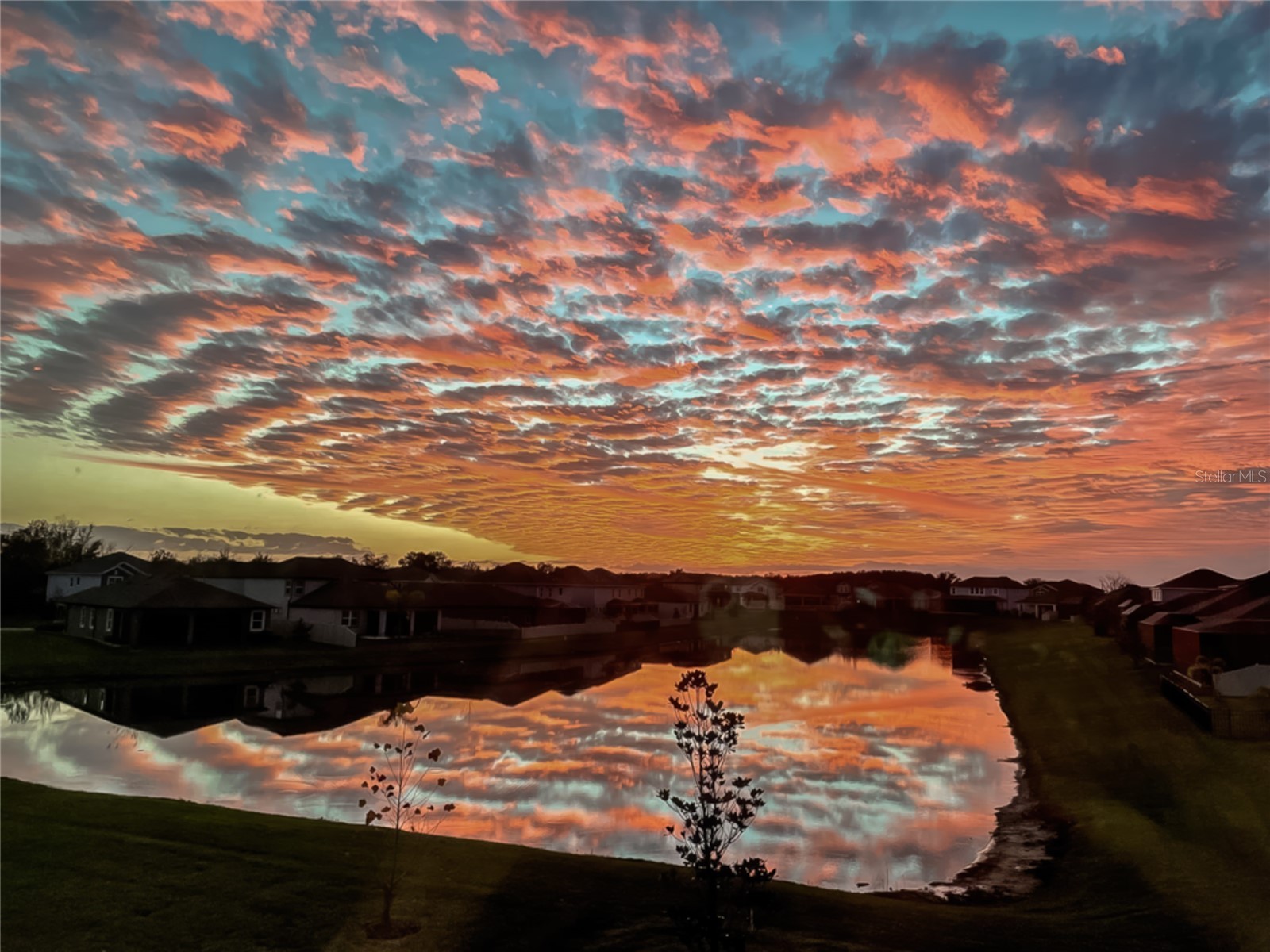 31030 Parrot Reef Court Wesley Chapel FL 33545 TB8482510 image59