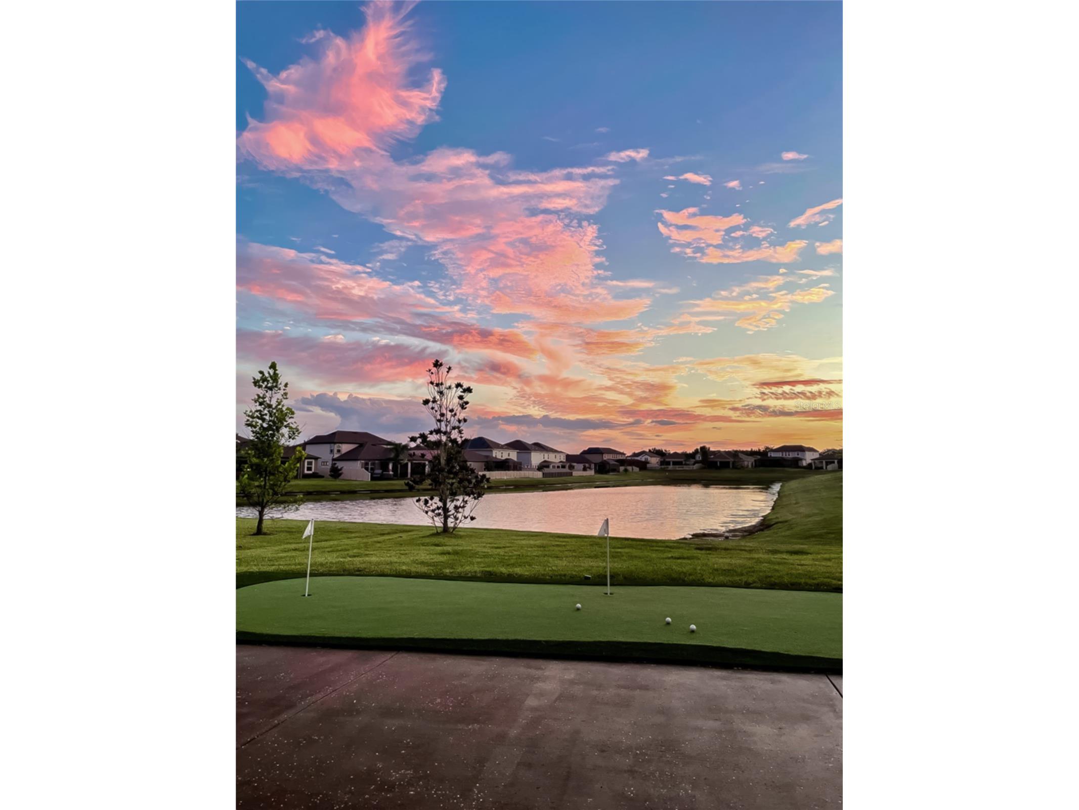 31030 Parrot Reef Court Wesley Chapel FL 33545 TB8482510 image60