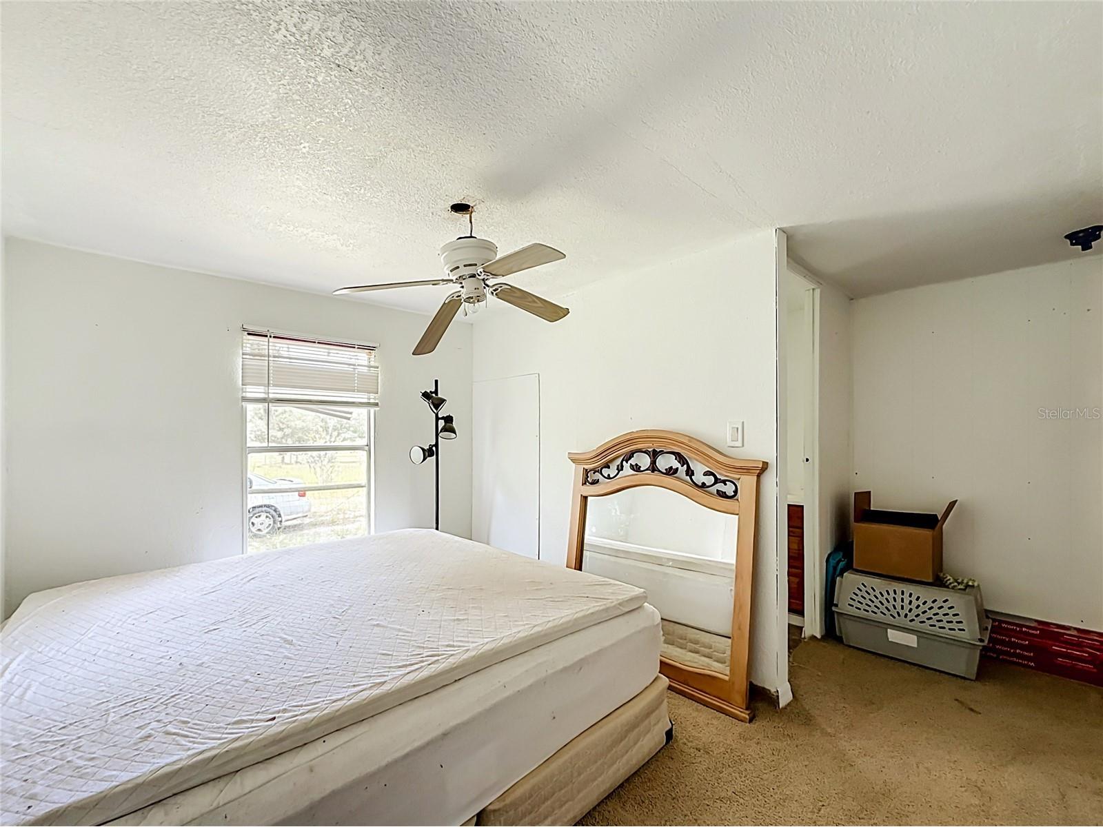 31032 Rory Lane Eustis FL 32736 G5113883 image21