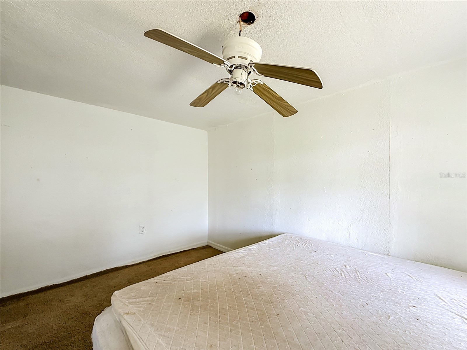 31032 Rory Lane Eustis FL 32736 G5113883 image22