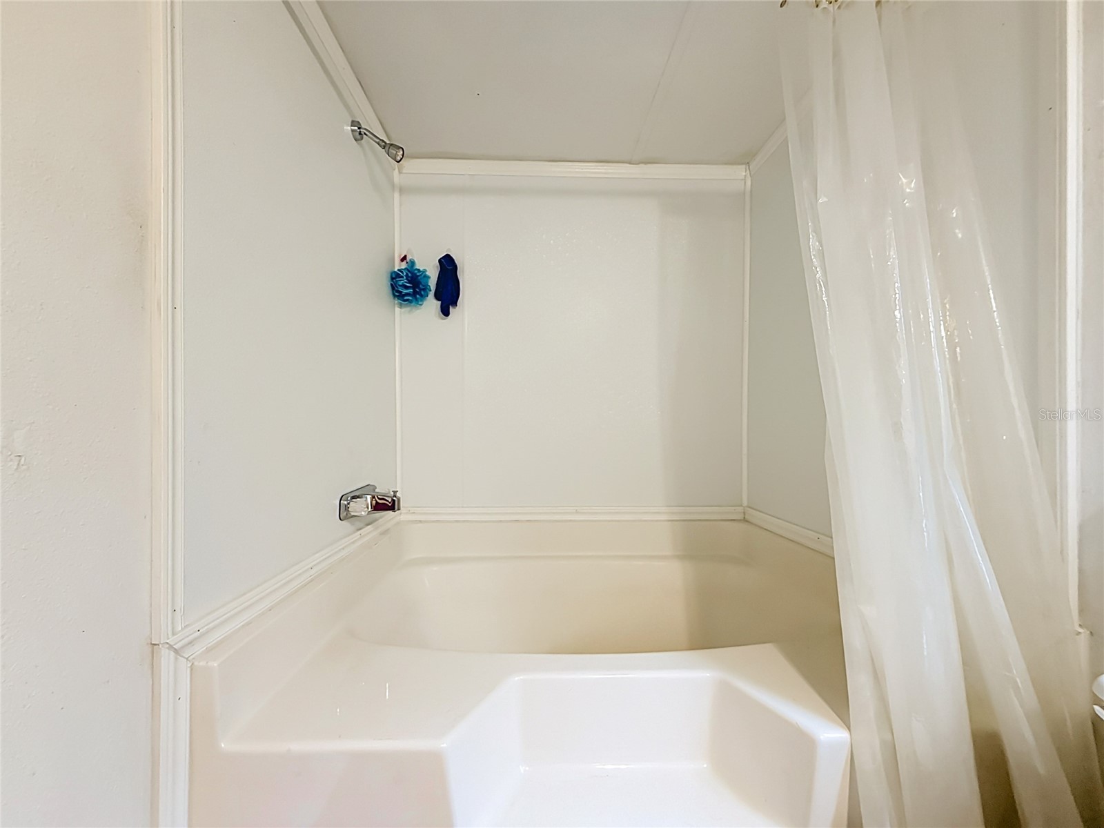 31032 Rory Lane Eustis FL 32736 G5113883 image30