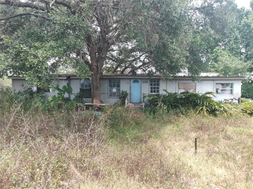31033 Eloian Drive Zephyrhills FL 33545 W7855281 image1