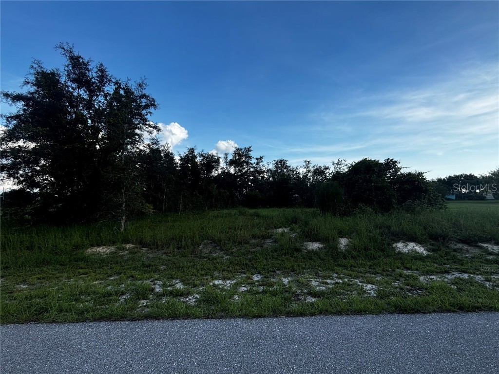 31033 Peace Street Punta Gorda FL 33982 C7494915 image1