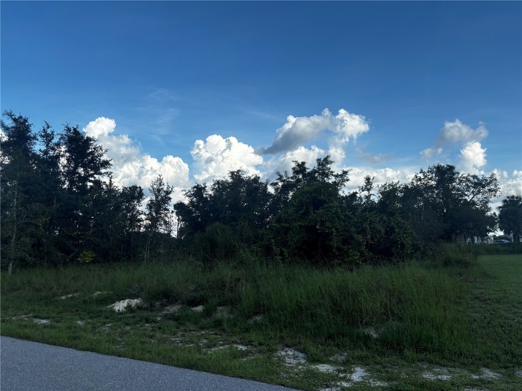 31033 Peace Street Punta Gorda FL 33982 C7494915 image2