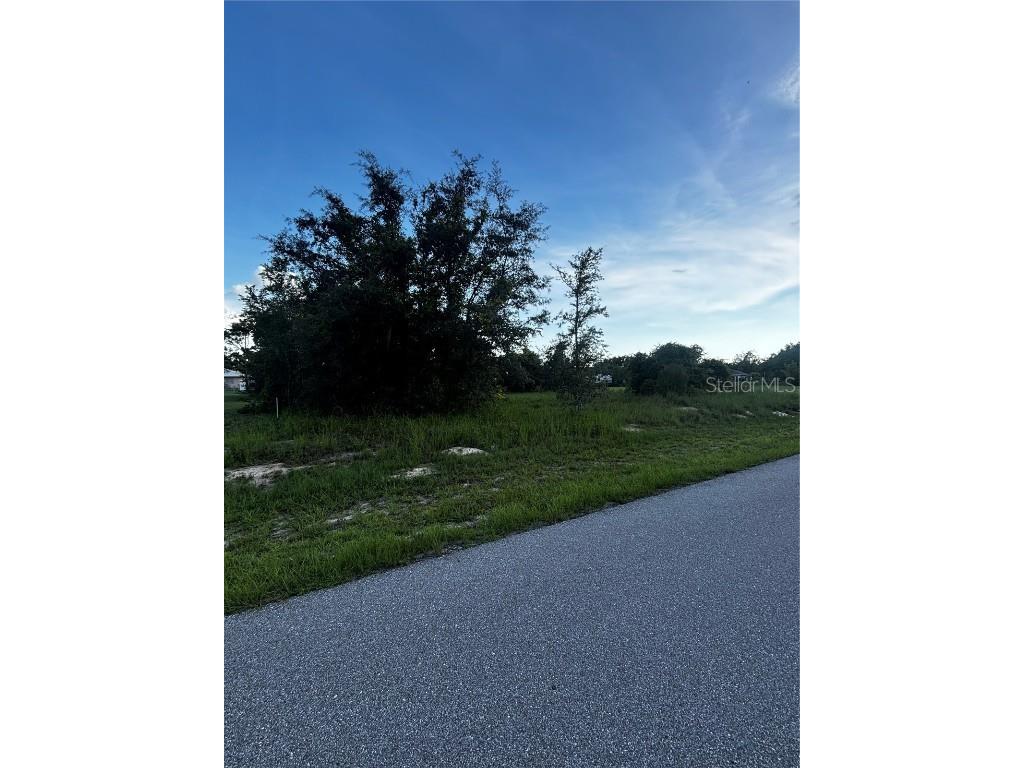 31033 Peace Street Punta Gorda FL 33982 C7494915 image3