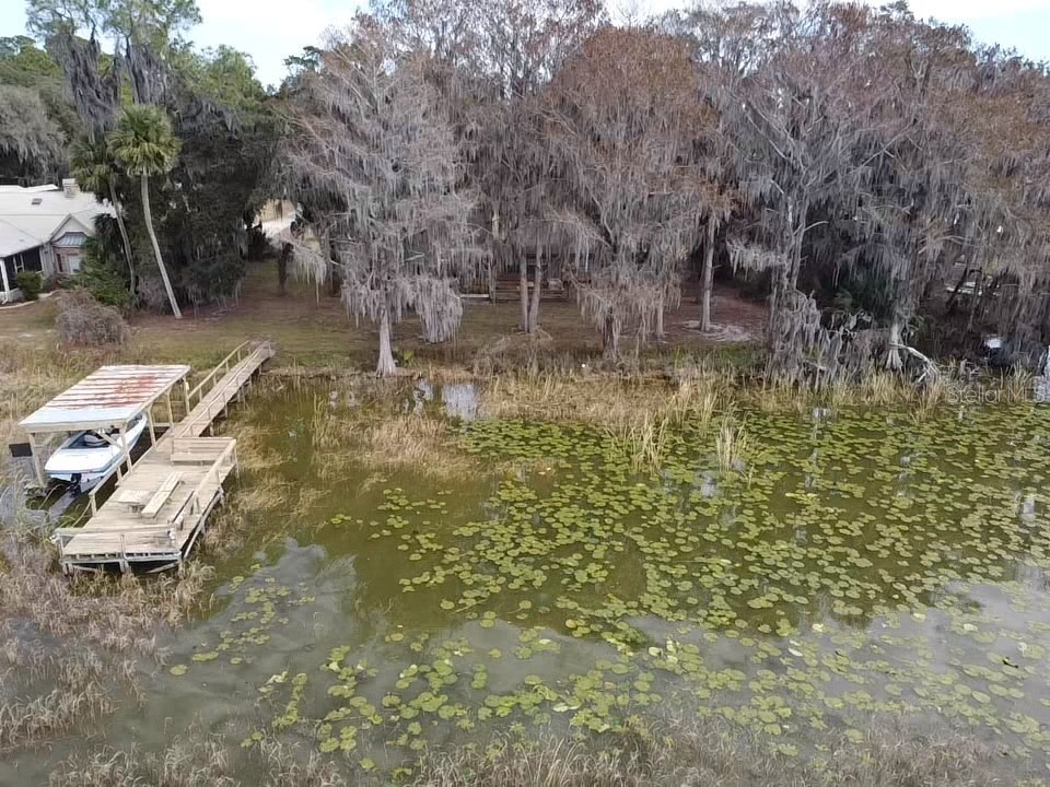 31035 Cove Road Tavares FL 32778 - LAKE HARRIS G5107953 image12