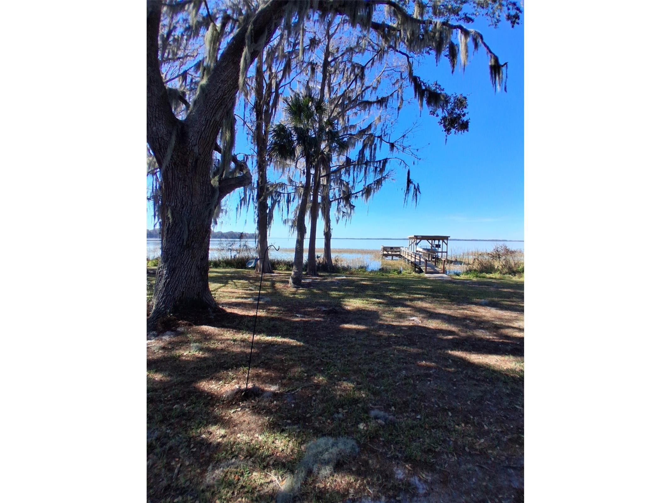 31035 Cove Road Tavares FL 32778 - LAKE HARRIS G5107953 image3