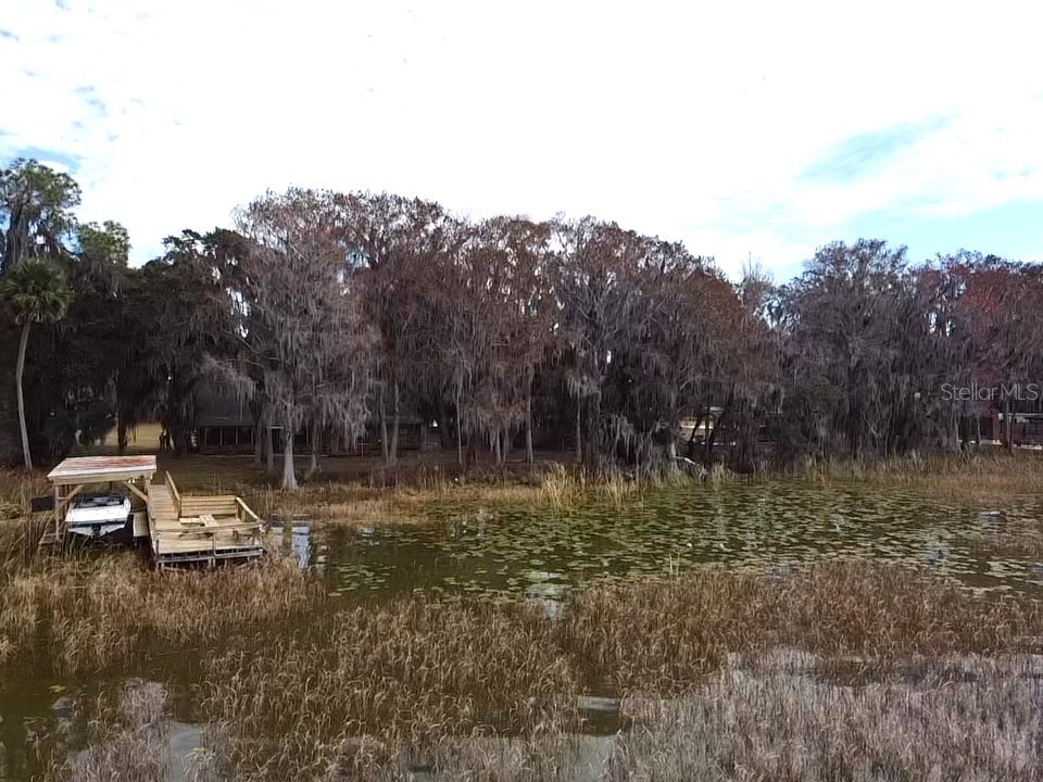 31035 Cove Road Tavares FL 32778 - LAKE HARRIS G5107953 image4