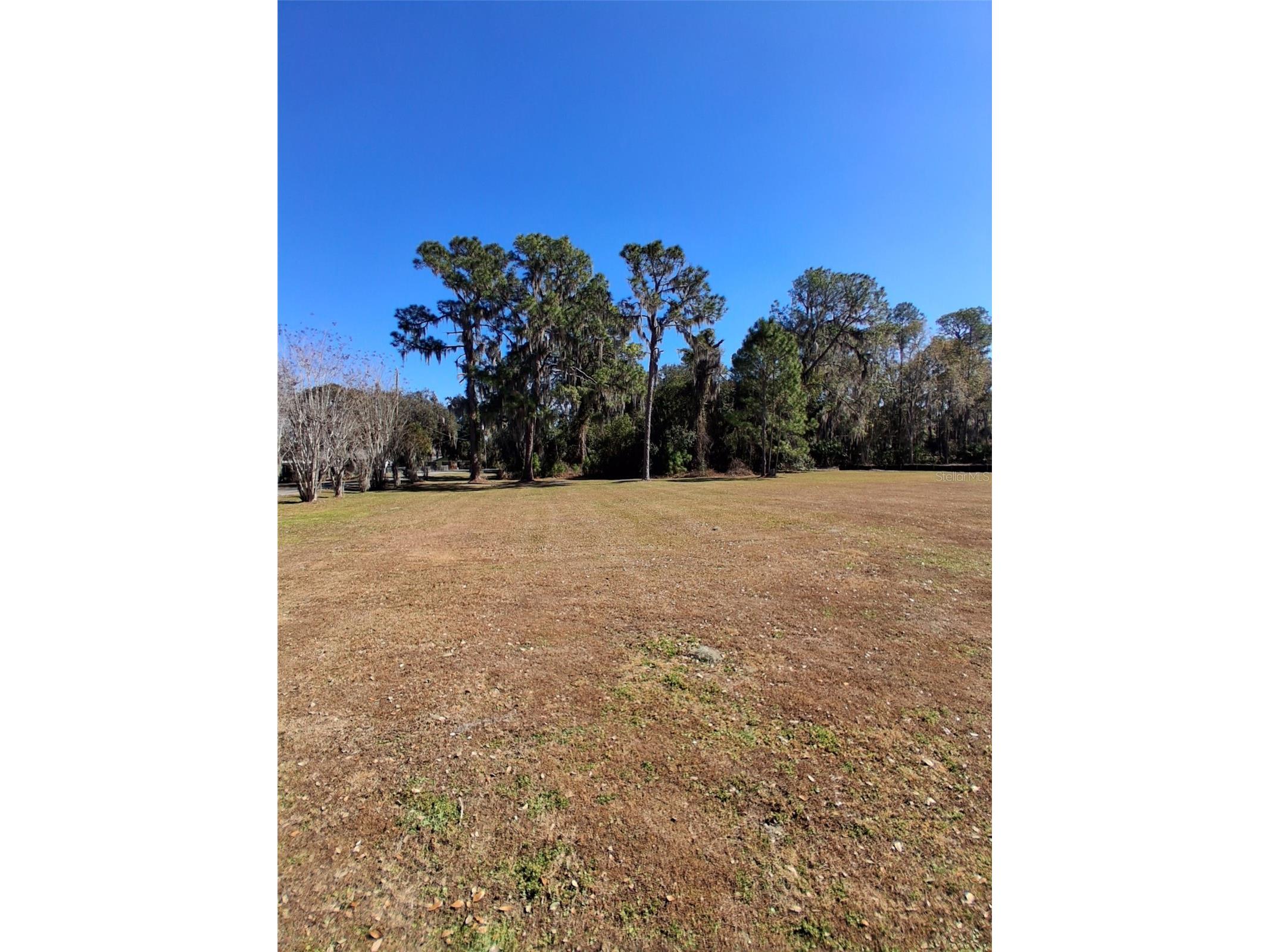 31035 Cove Road Tavares FL 32778 - LAKE HARRIS G5107953 image6