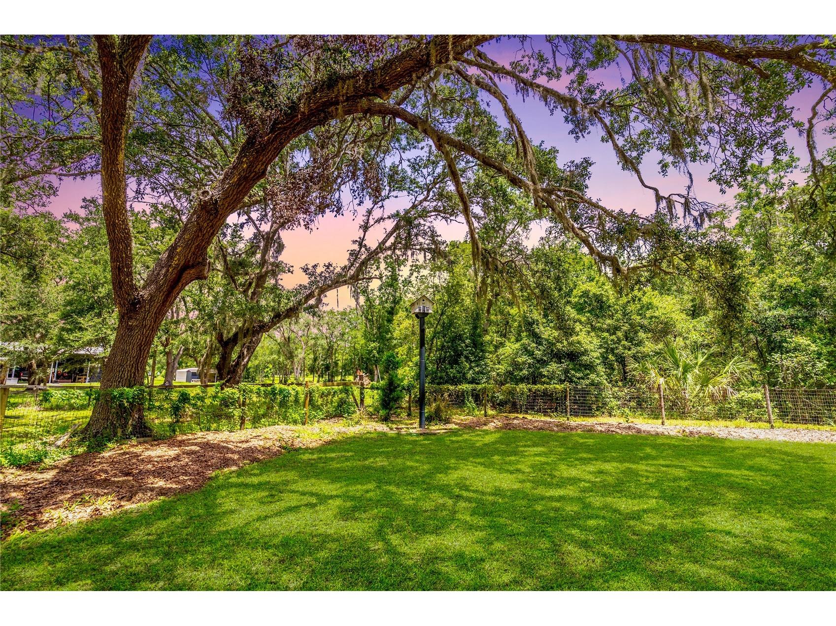 31035 Pasco Road San Antonio FL 33576 TB8490655 image77
