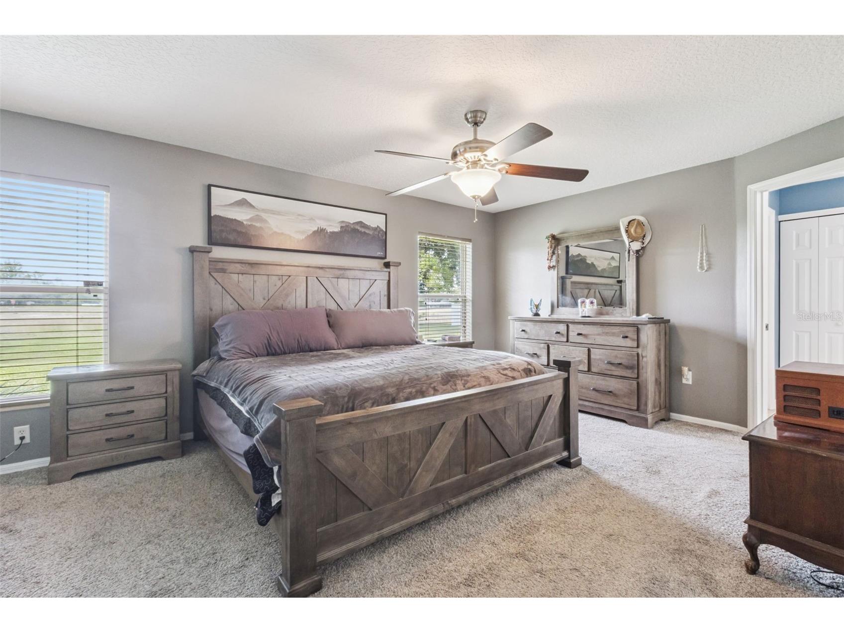 31038 Fairvista Drive Tavares FL 32778 O6397744 image14