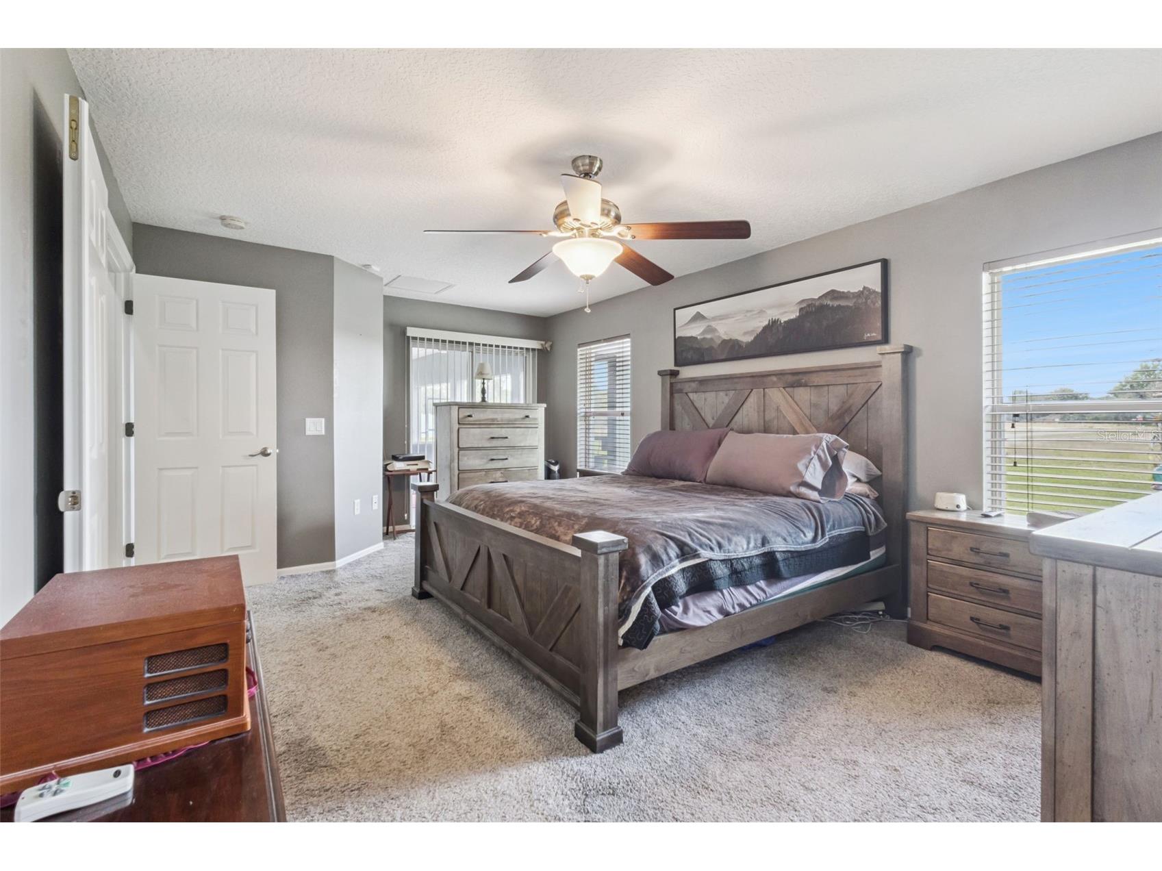 31038 Fairvista Drive Tavares FL 32778 O6397744 image15