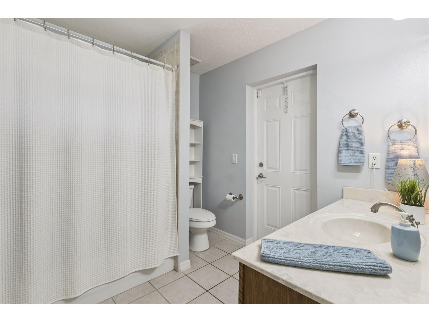 31038 Fairvista Drive Tavares FL 32778 O6397744 image21