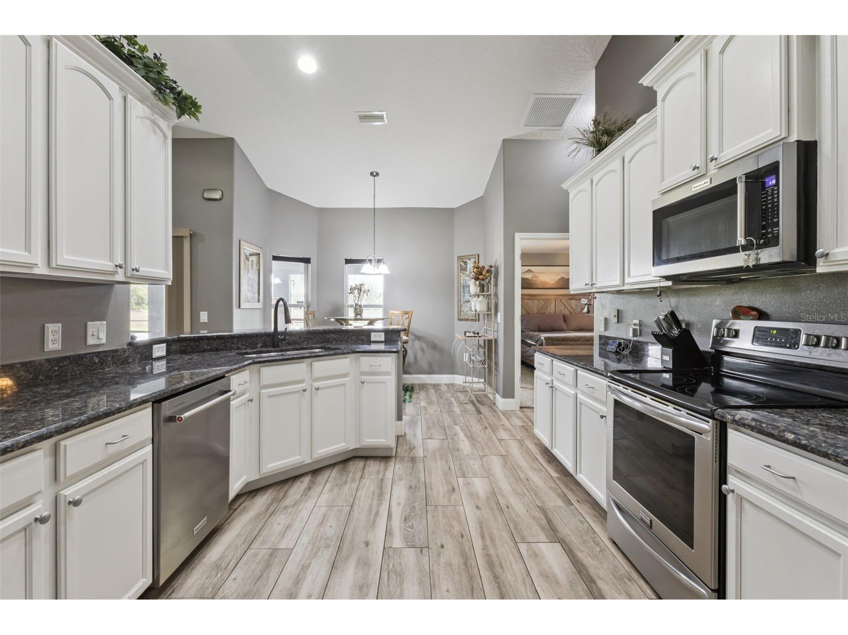 31038 Fairvista Drive Tavares FL 32778 O6397744 image9