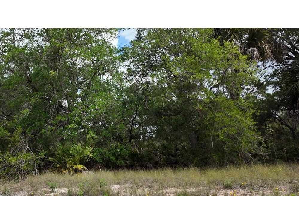 3104 51st Street W Lehigh Acres FL 33971 OM722397 image11
