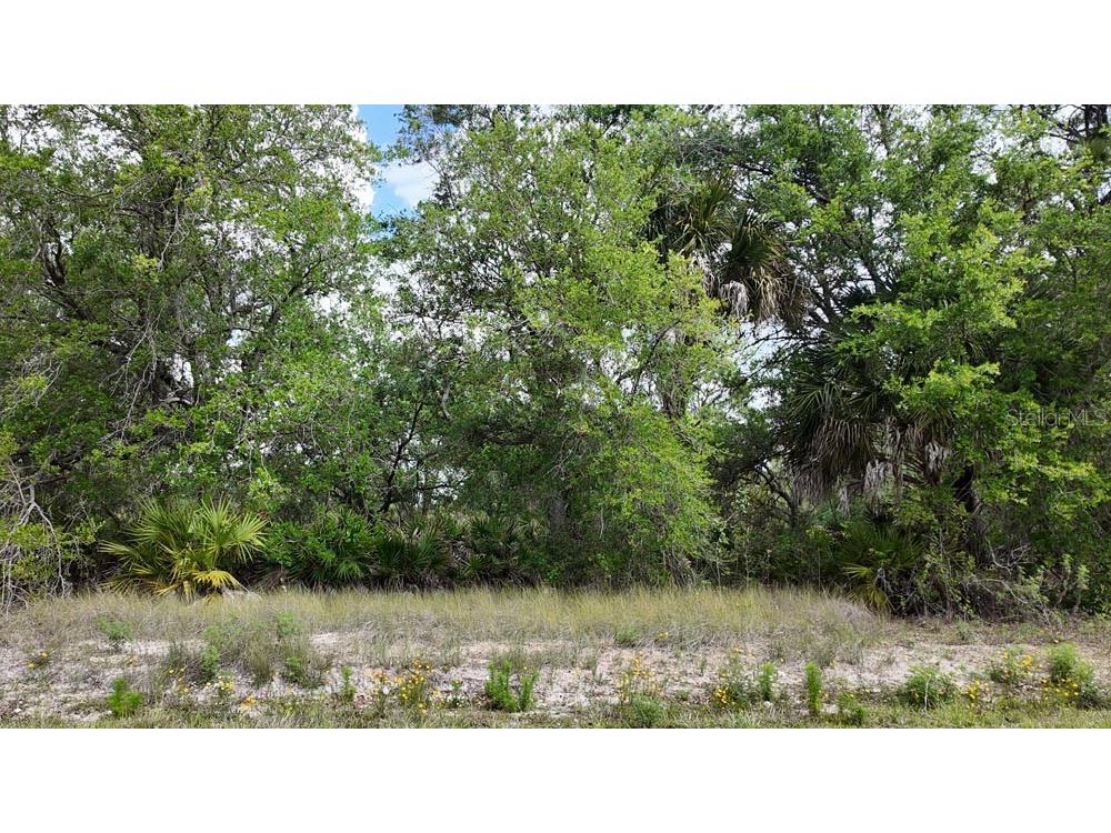 3104 51st Street W Lehigh Acres FL 33971 OM722397 image12