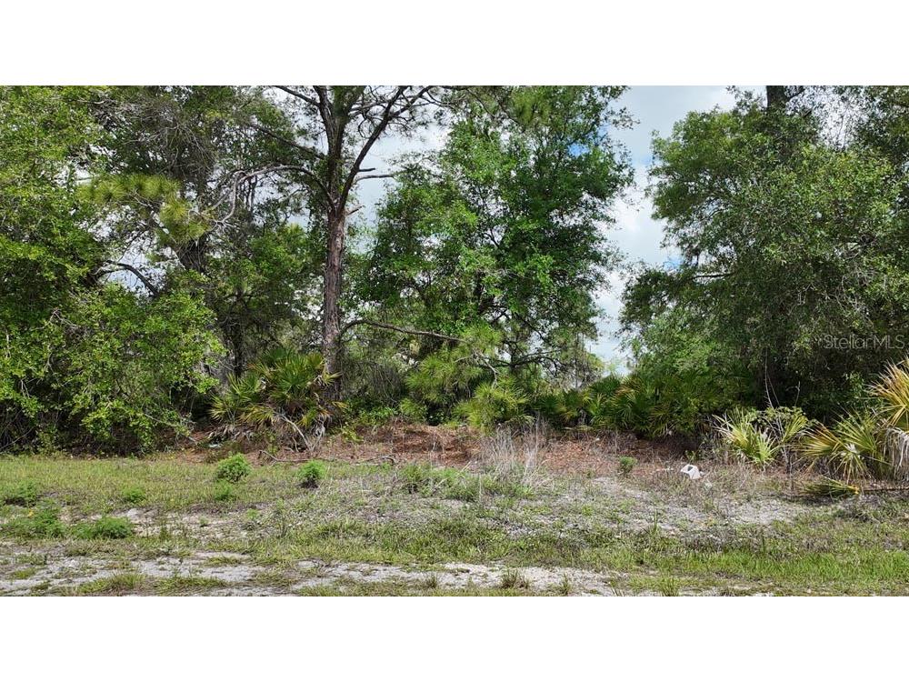 3104 51st Street W Lehigh Acres FL 33971 OM722397 image13