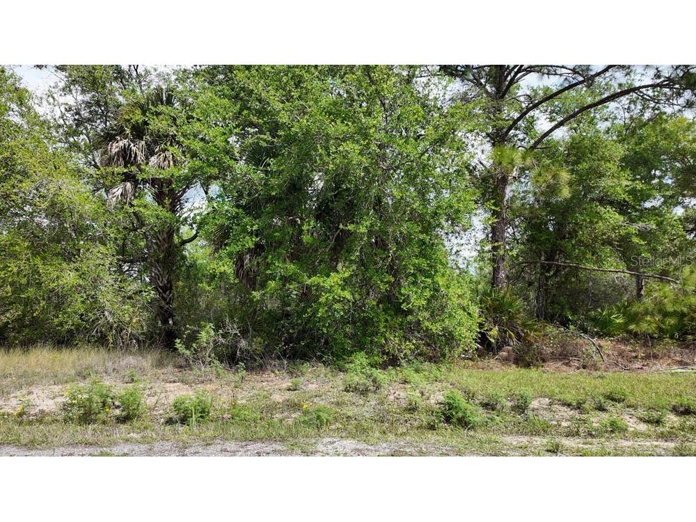 3104 51st Street W Lehigh Acres FL 33971 OM722397 image14