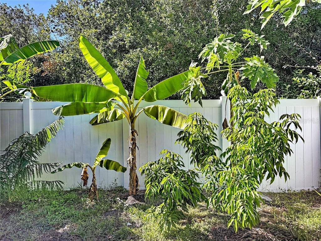 3104 Conrad Court Kissimmee FL 34744 O6367550 image58