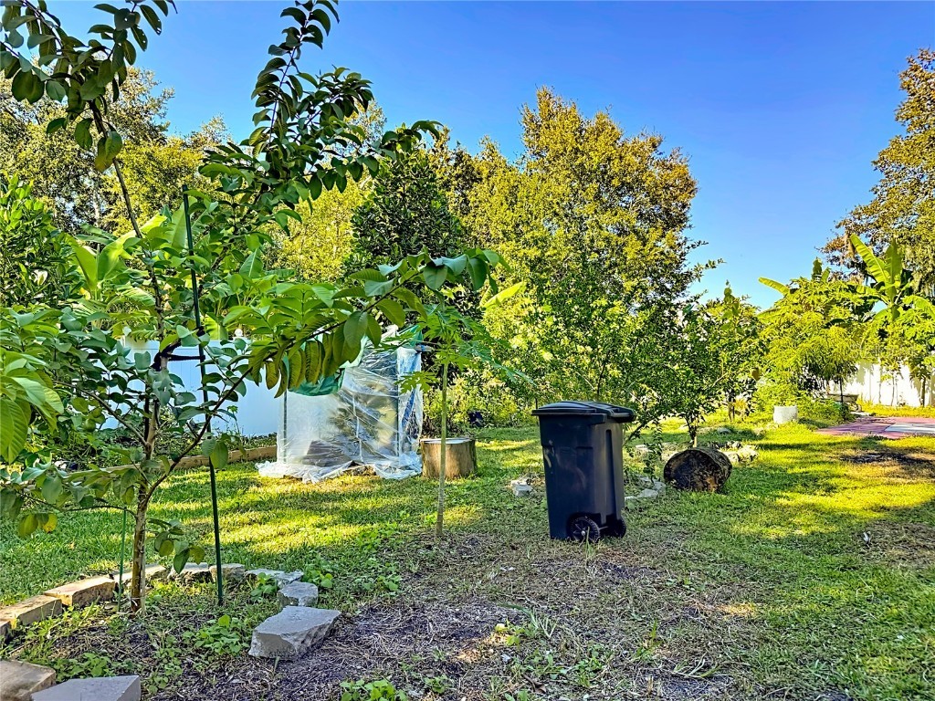 3104 Conrad Court Kissimmee FL 34744 O6367550 image59