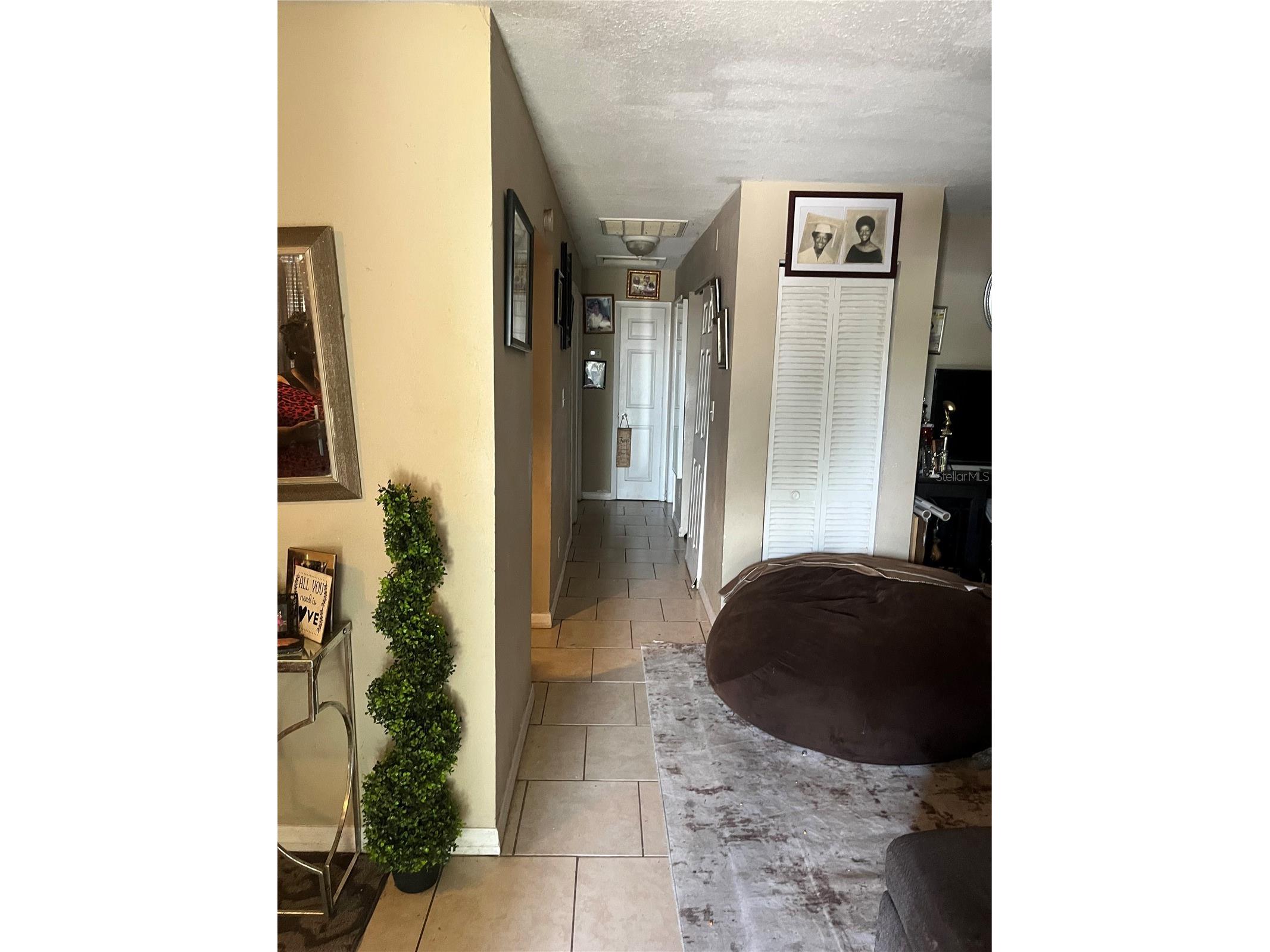 3104 E Chelsea Street Tampa FL 33610 TB8520069 image4