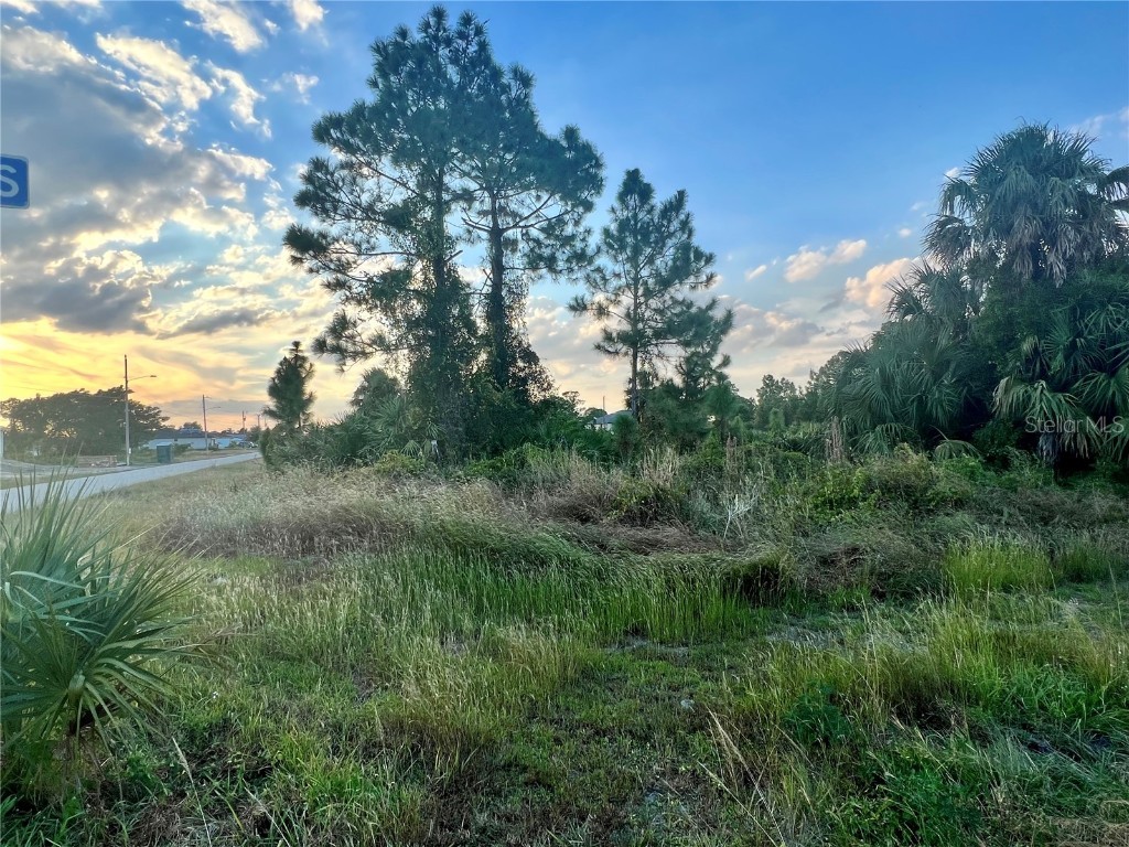 3104 Pearl Avenue S Lehigh Acres FL 33976 A4588454 image1