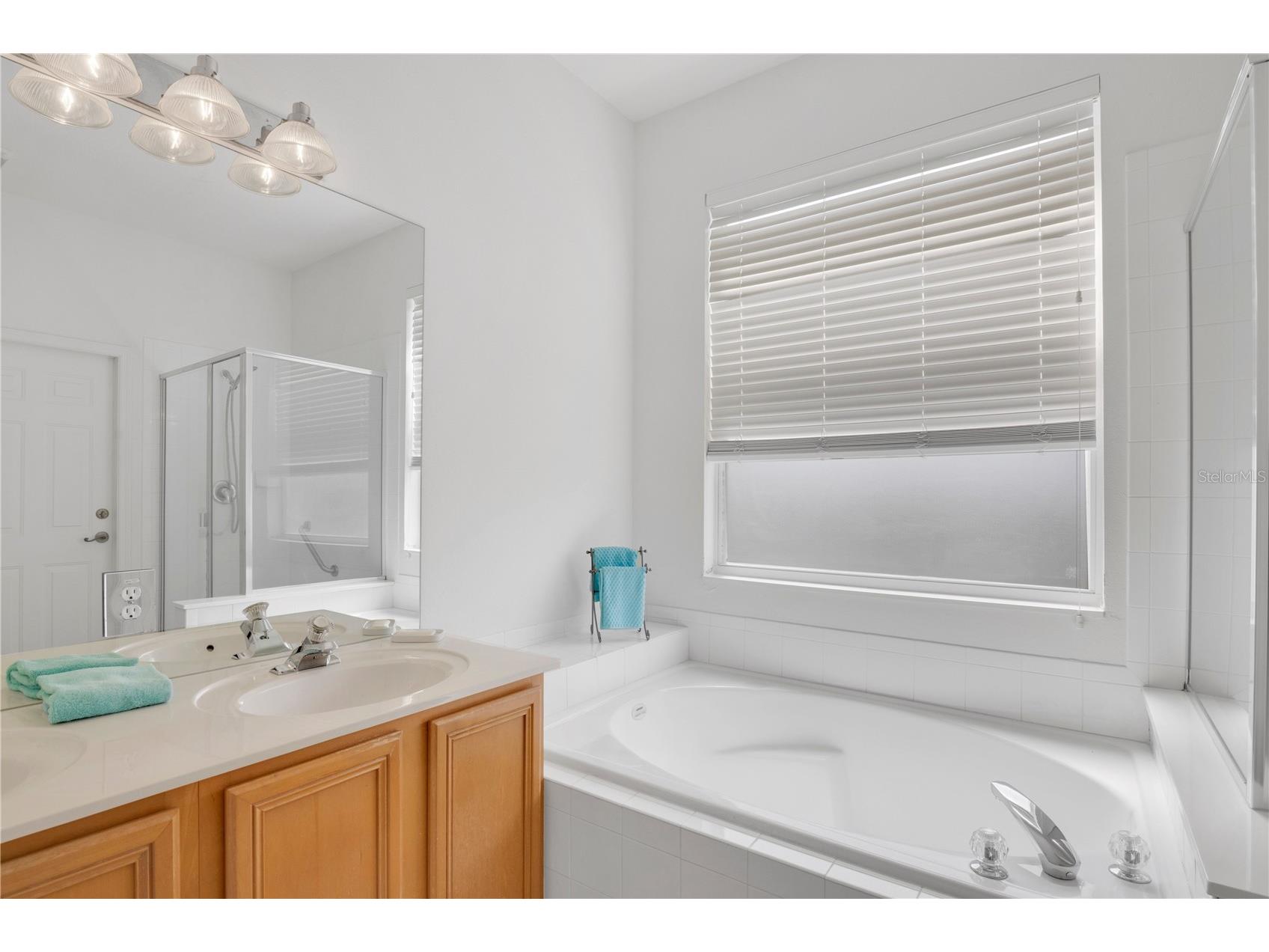 3104 Stonehurst Circle Kissimmee FL 34741 S5146773 image21