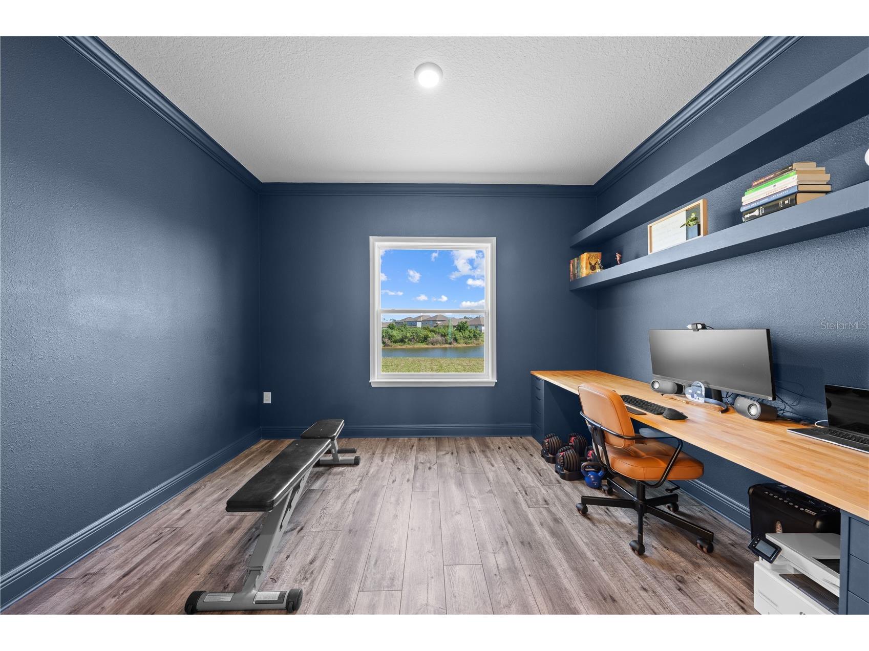 31041 Jazz Leaf Place San Antonio FL 33576 S5147136 image13