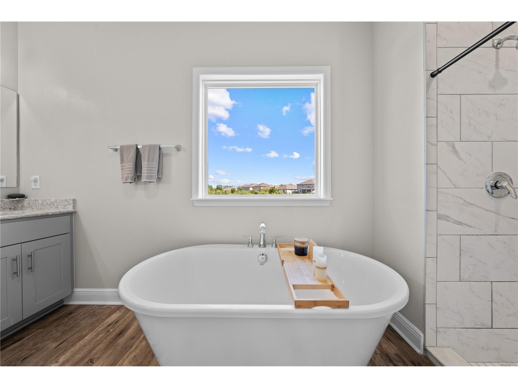 31041 Jazz Leaf Place San Antonio FL 33576 S5147136 image35