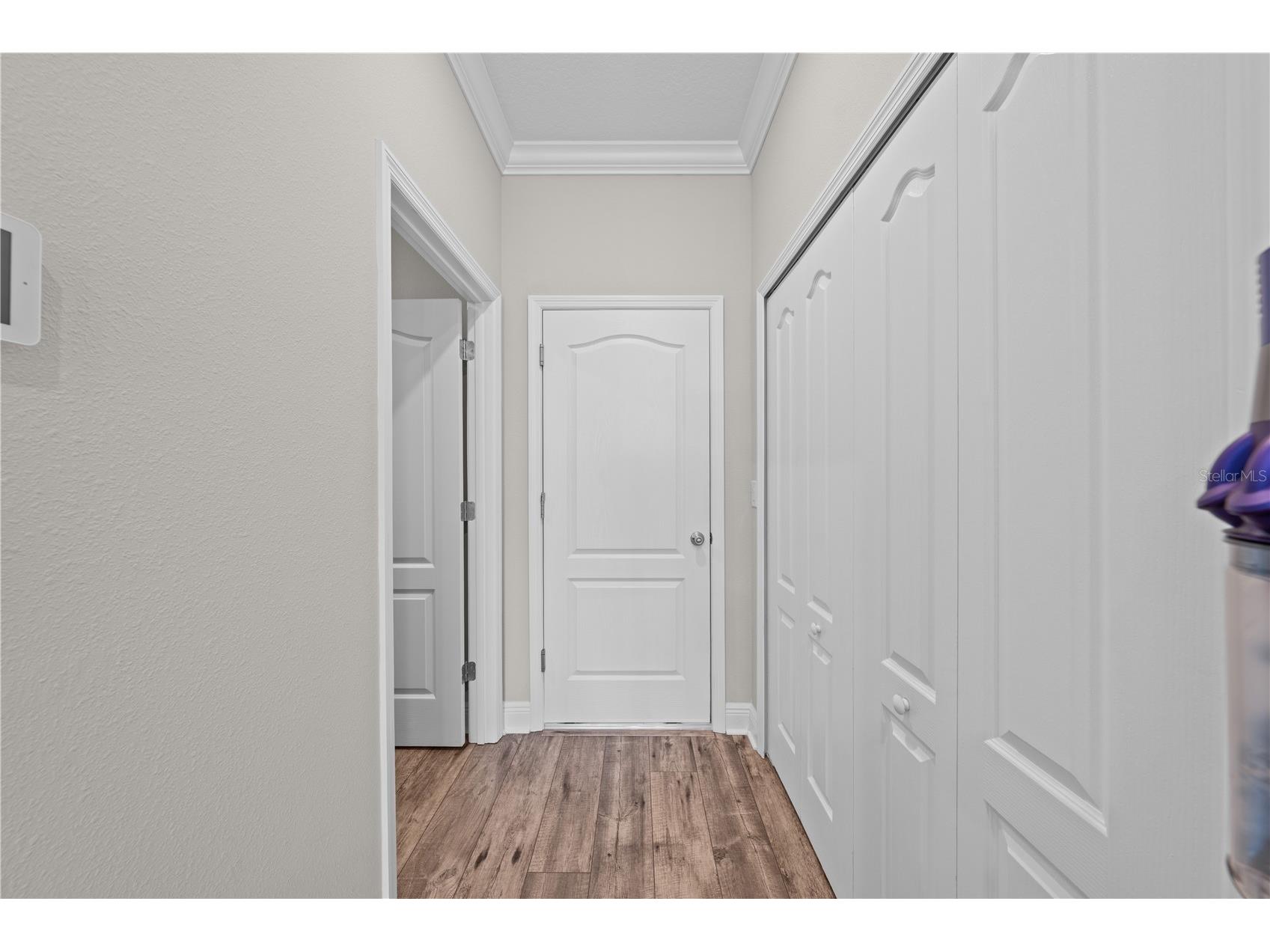 31041 Jazz Leaf Place San Antonio FL 33576 S5147136 image37