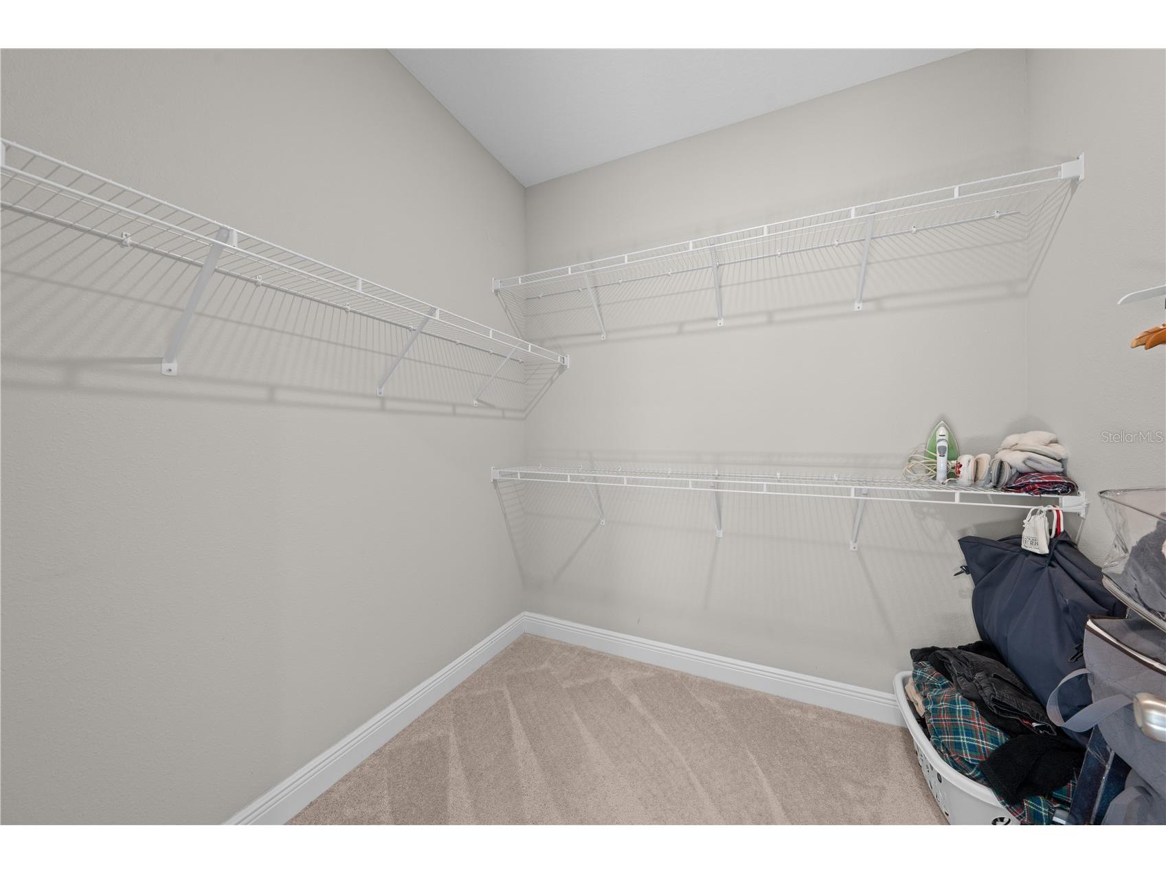 31041 Jazz Leaf Place San Antonio FL 33576 S5147136 image39