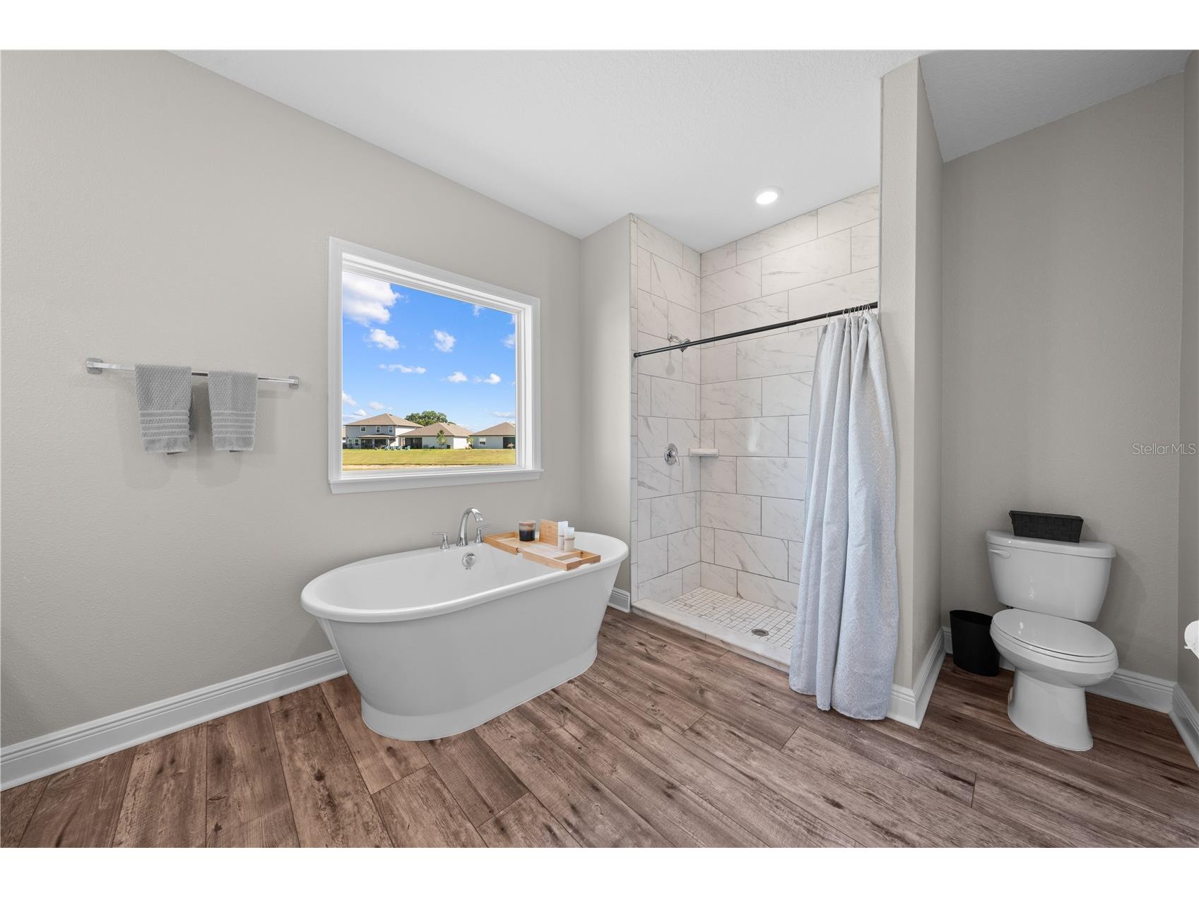 31041 Jazz Leaf Place San Antonio FL 33576 S5147136 image43