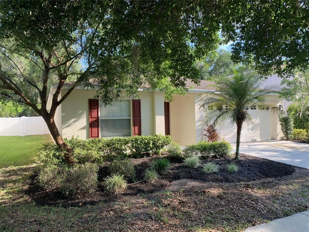 31044 Mandolin Cay Avenue Wesley Chapel FL 33543 T3534162 image1