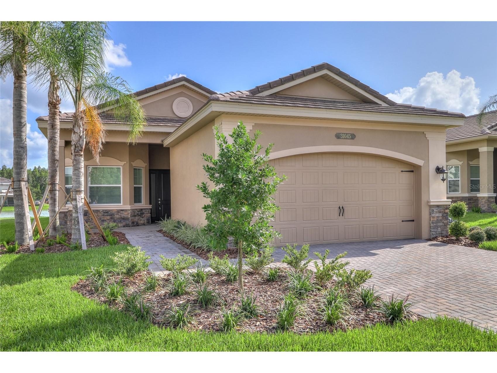 31045 Lindentree Drive Wesley Chapel FL 33543 TB8466042 image1