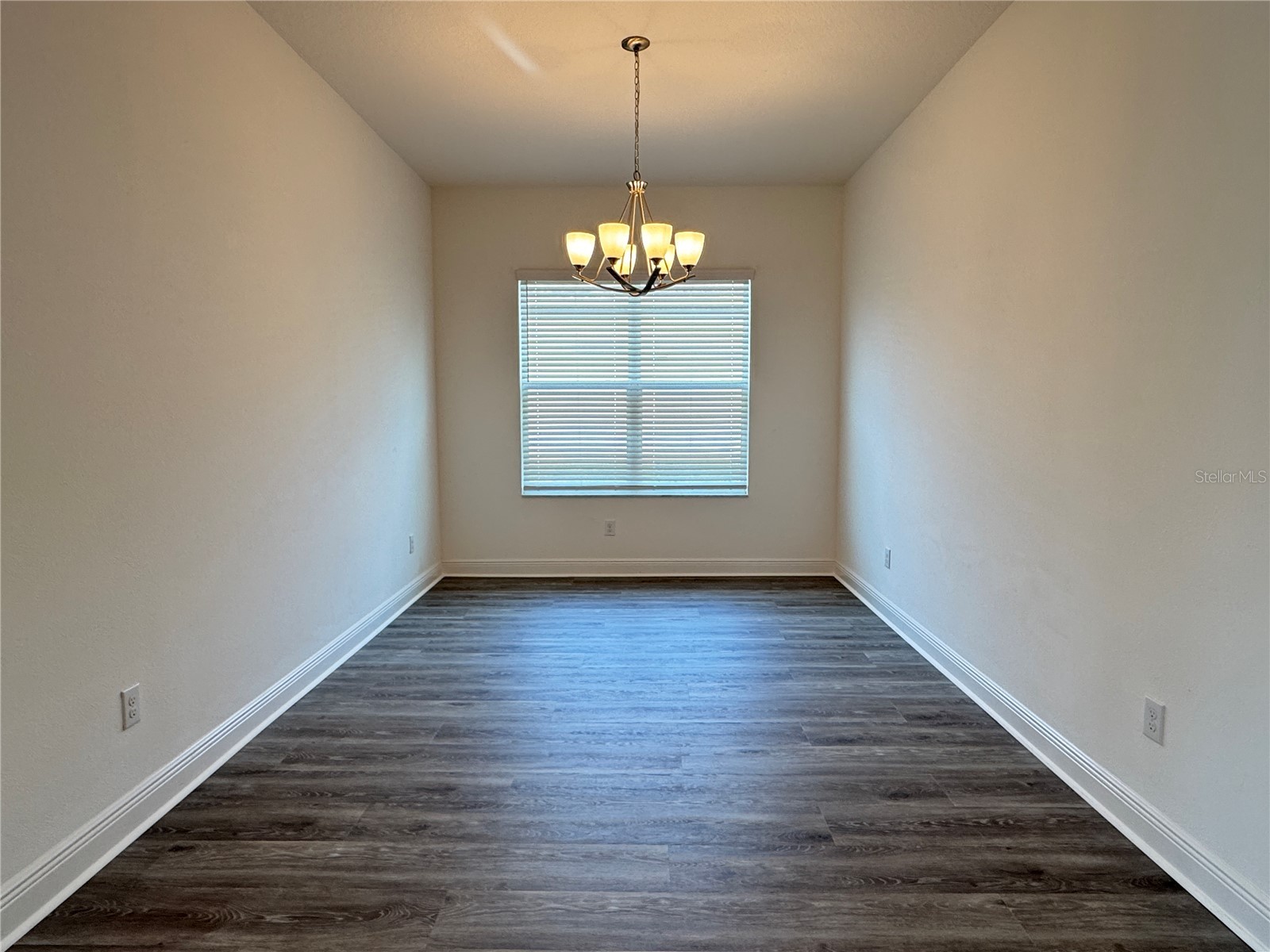 31045 Lindentree Drive Wesley Chapel FL 33543 TB8466042 image20