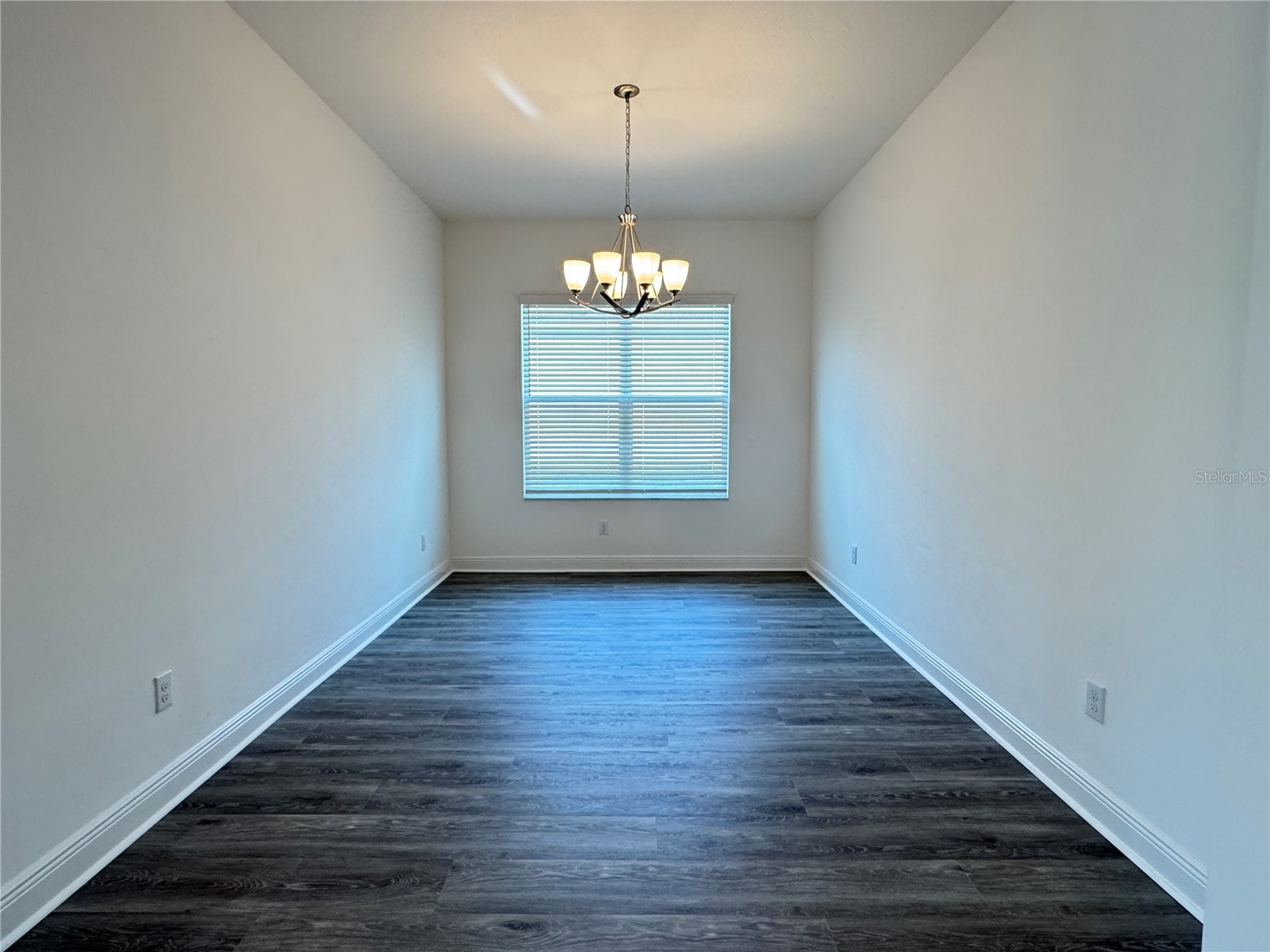 31045 Lindentree Drive Wesley Chapel FL 33543 TB8466042 image21