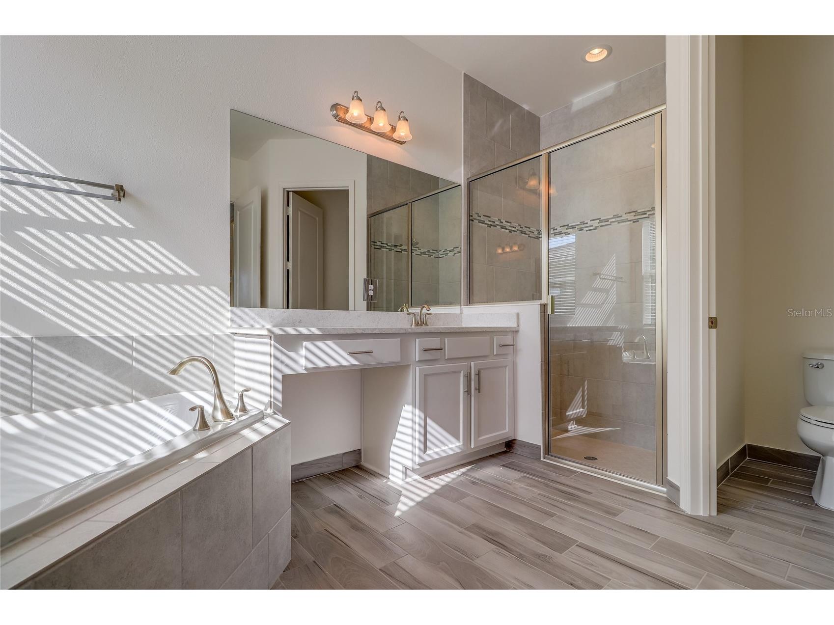 31045 Lindentree Drive Wesley Chapel FL 33543 TB8466042 image26