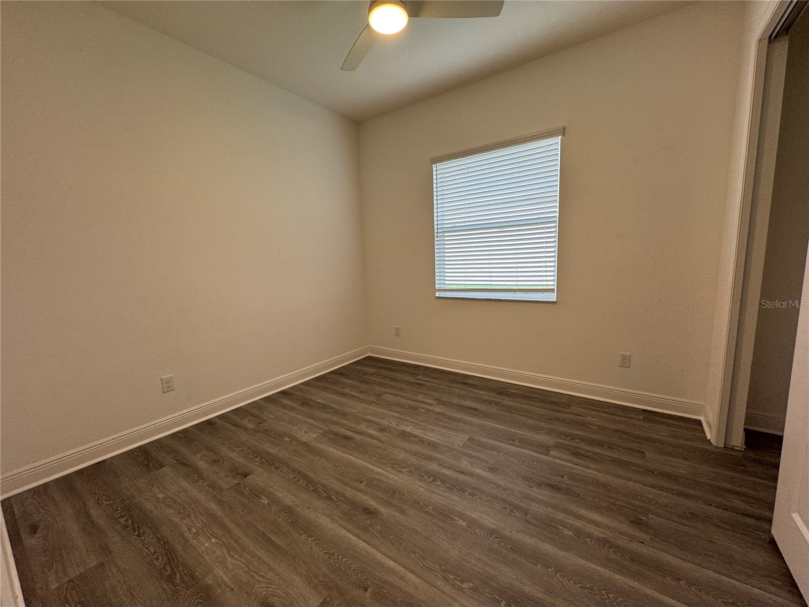 31045 Lindentree Drive Wesley Chapel FL 33543 TB8466042 image27