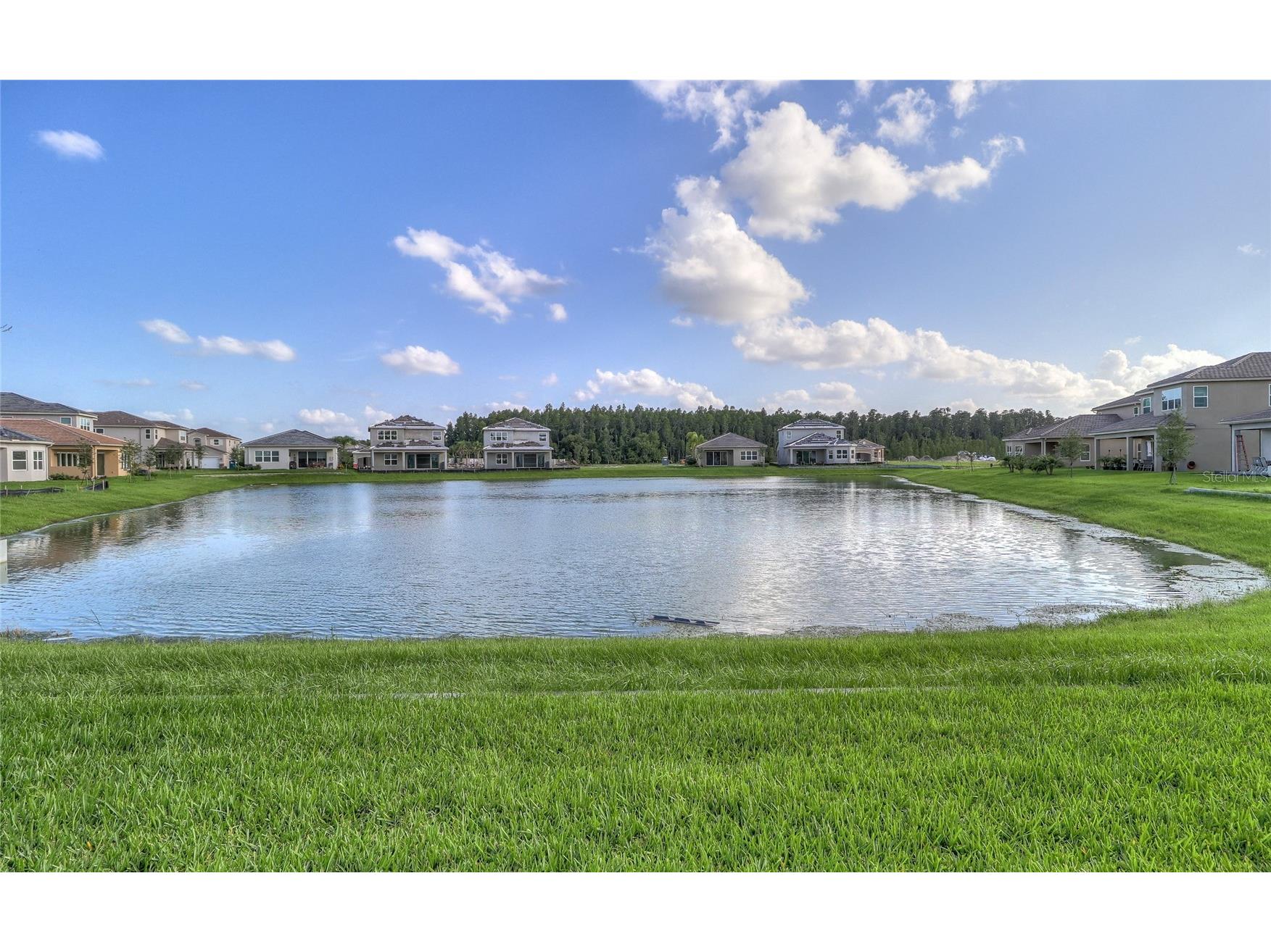 31045 Lindentree Drive Wesley Chapel FL 33543 TB8466042 image3