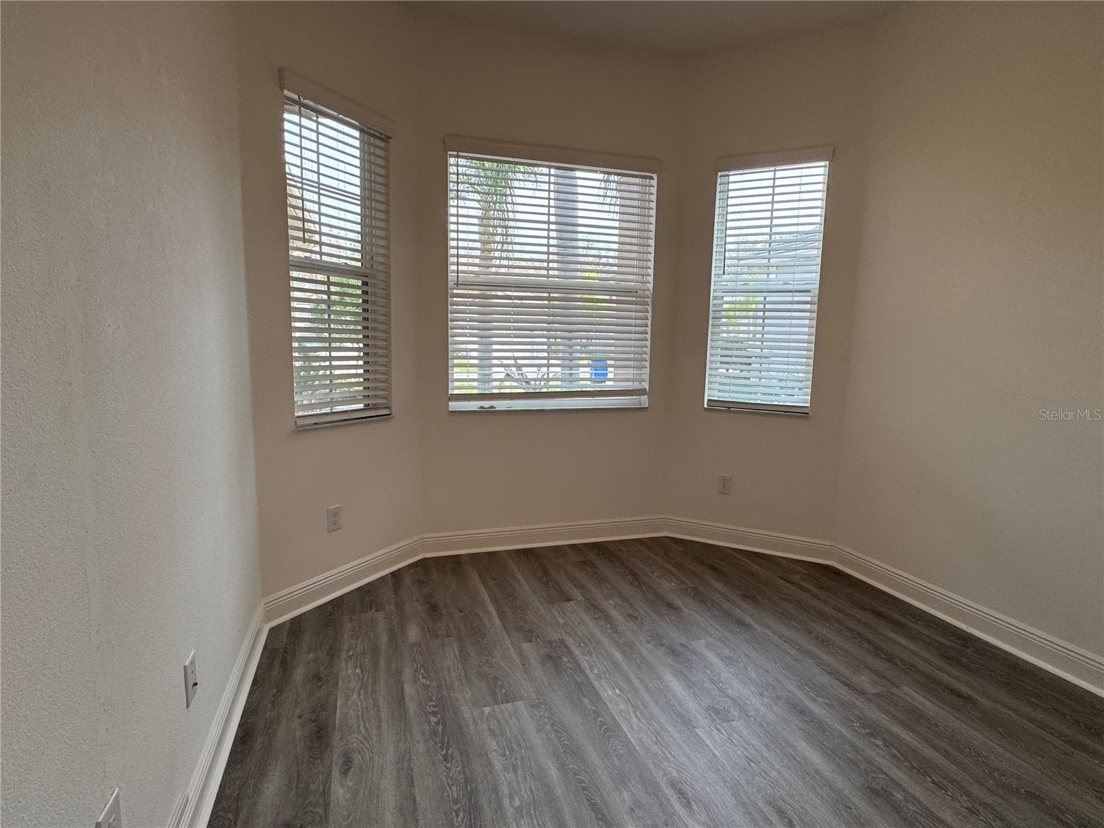 31045 Lindentree Drive Wesley Chapel FL 33543 TB8466042 image33