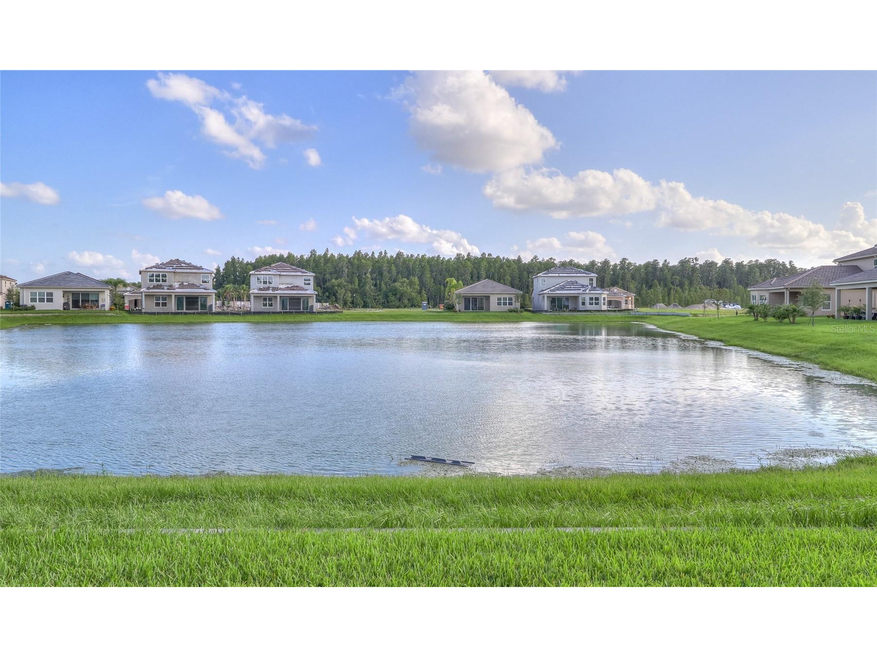 31045 Lindentree Drive Wesley Chapel FL 33543 TB8466042 image39